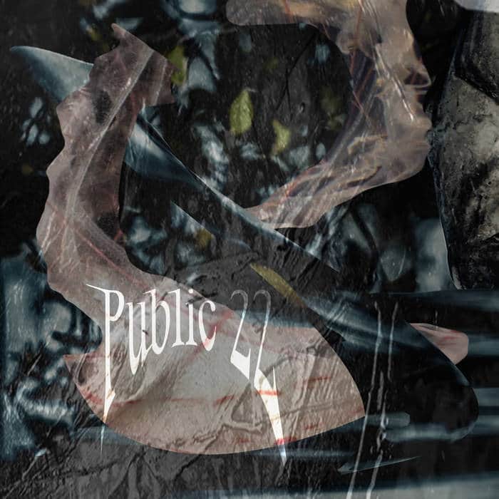 Artwork for Public22